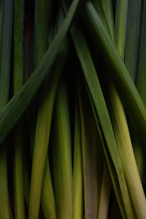 (Lemongrass)