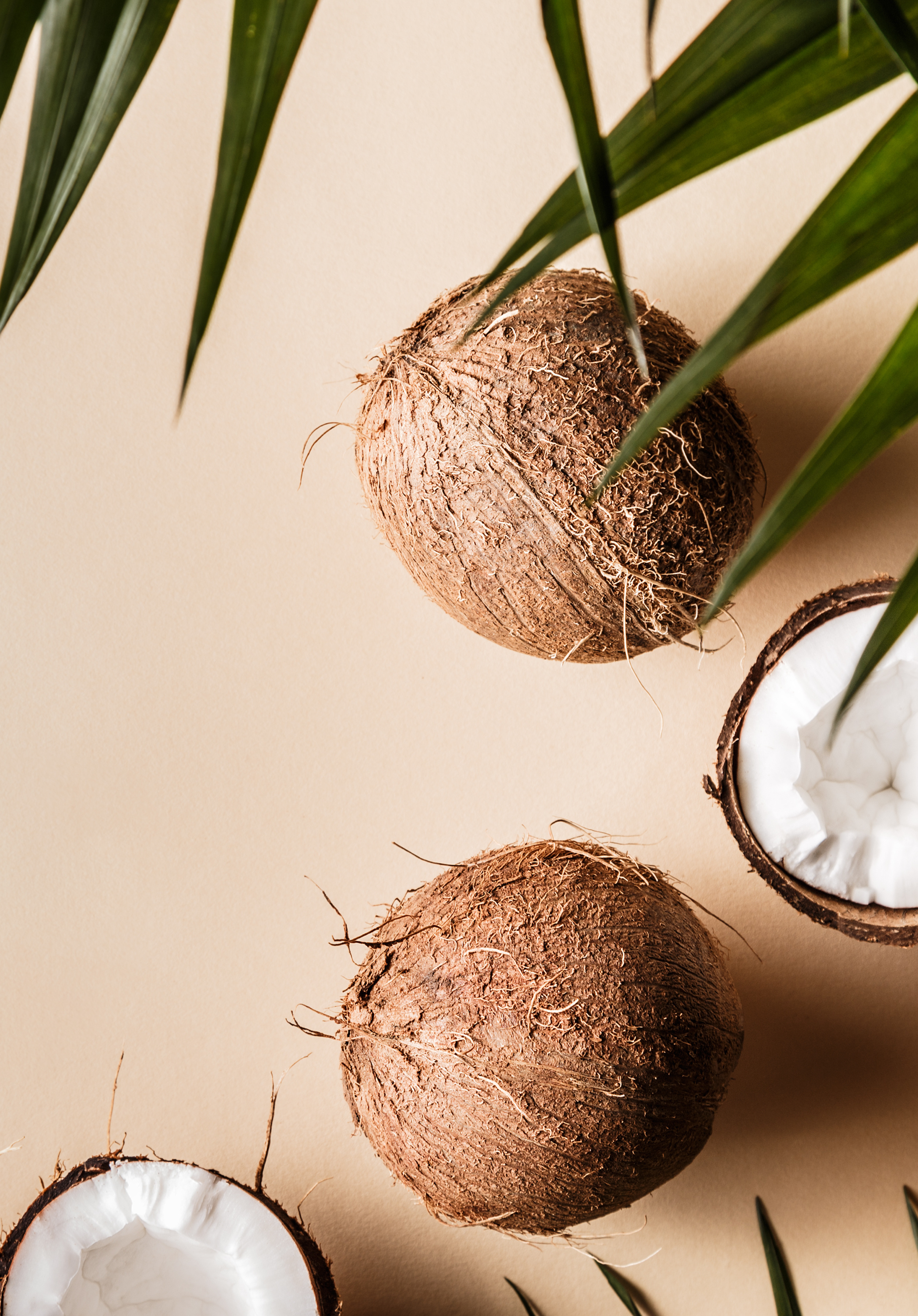 Organic Coconut Oil