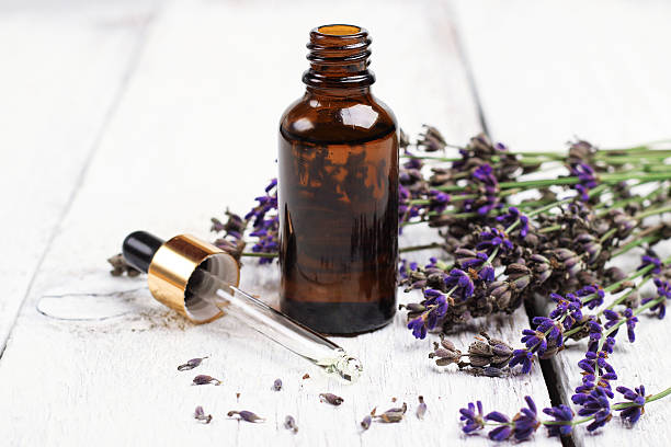 The Wonders of Lavender Oil (3 benefits)